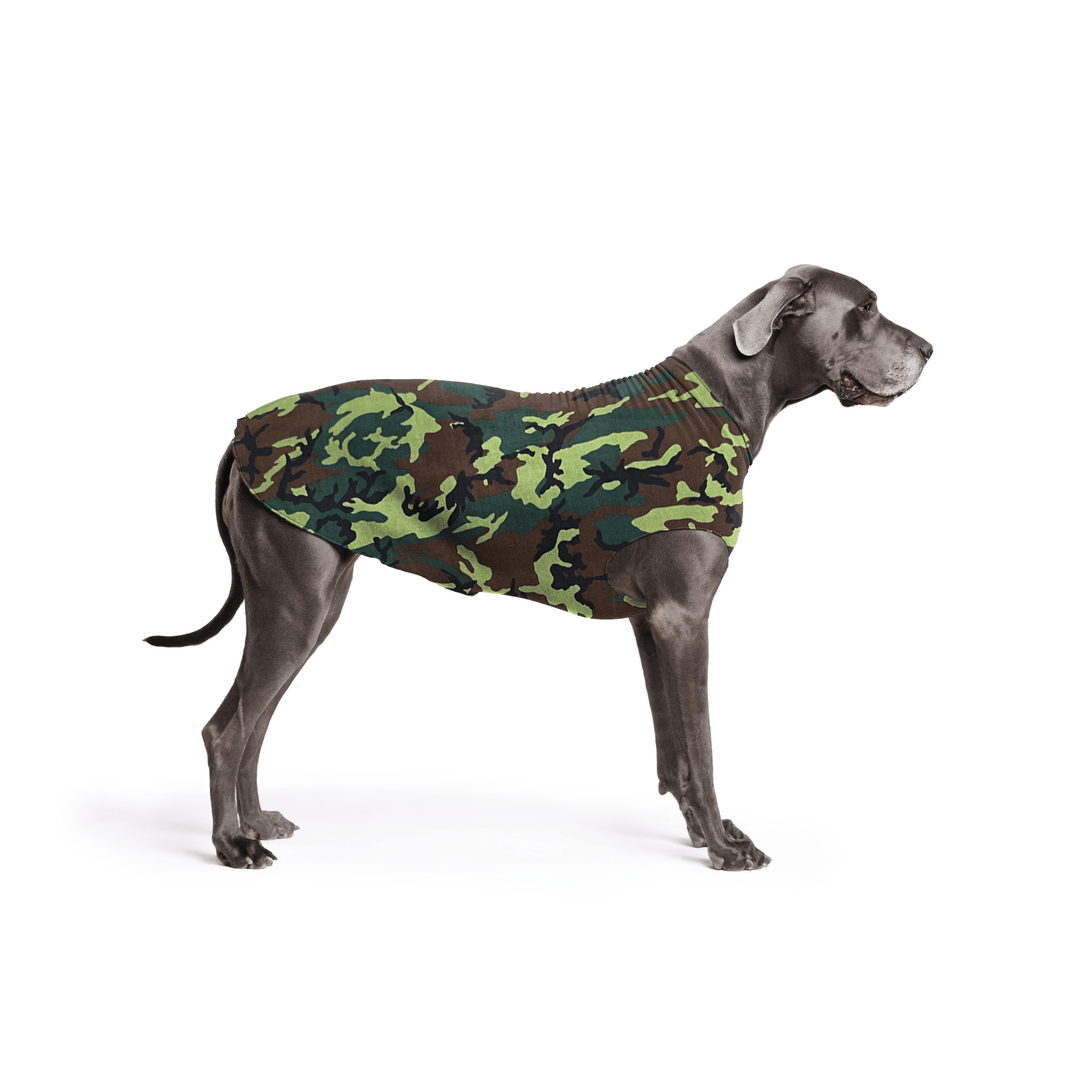 A Great Dane is standing wearing a Camouflage  Stretch Fleece in front of a white background