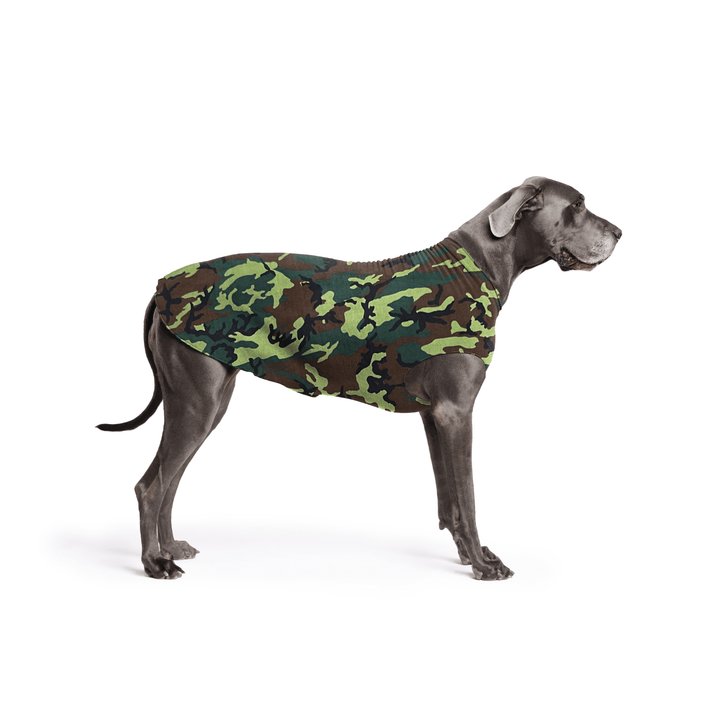 A Great Dane is standing wearing a Camouflage  Stretch Fleece in front of a white background