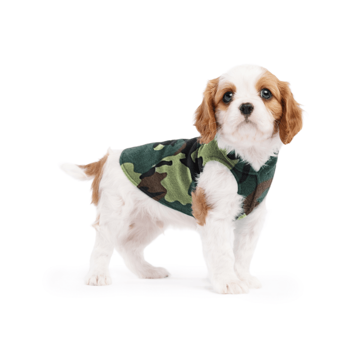 A cavalier puppy wearing a camouflage stretch fleece on a white background