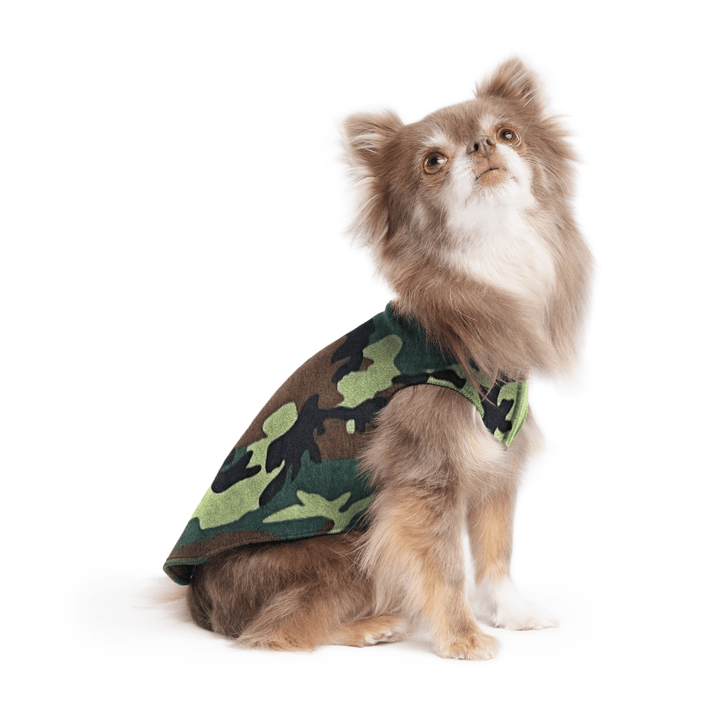 A long haired chihuahua wearing a camouflage stretch fleece on a white background
