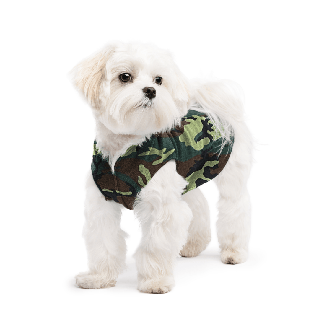 A white maltese dog wearing a camouflage stretch fleece on a white background