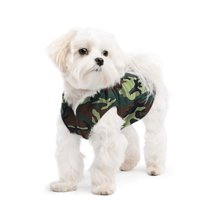 A white maltese dog wearing a camouflage stretch fleece on a white background
