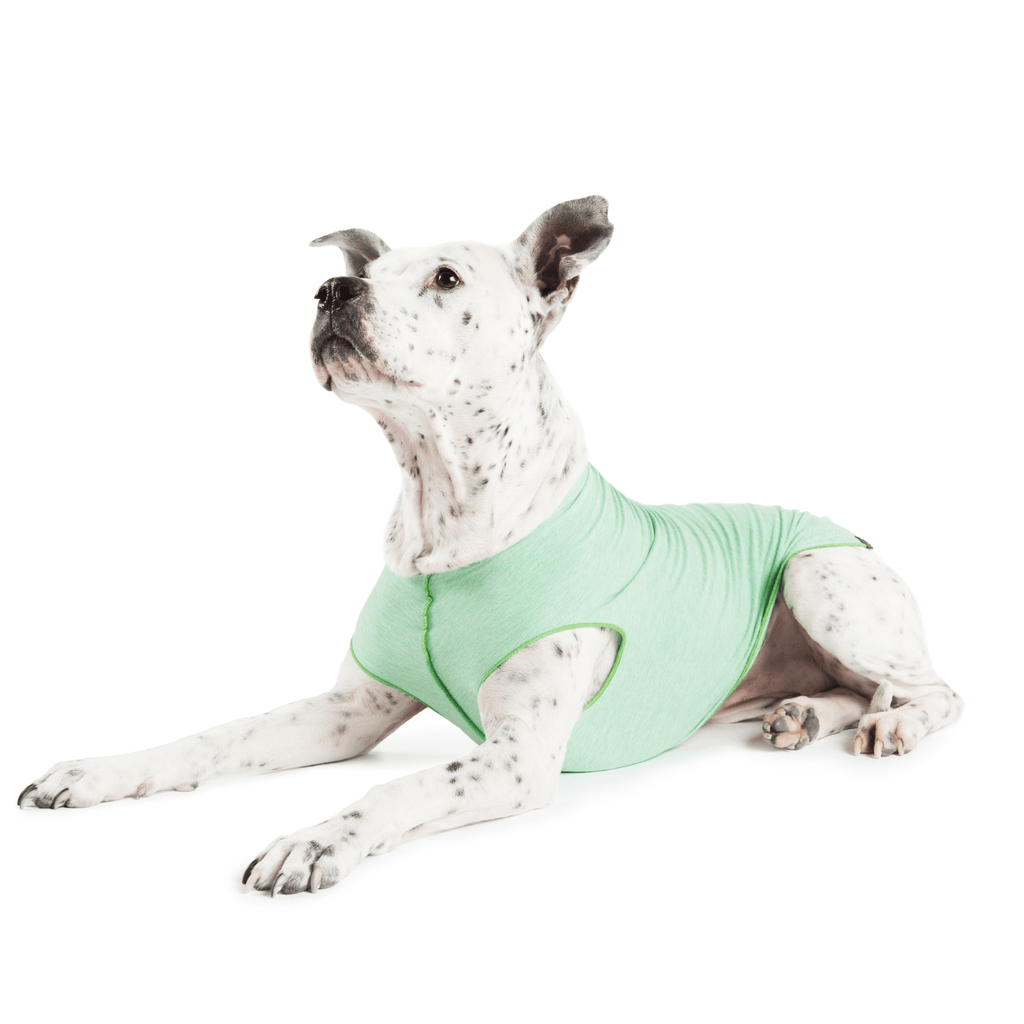 新品Gold Paw Sunshield Size12 小型犬用 紫外線カット Sun Shield Tee | Goldpaw