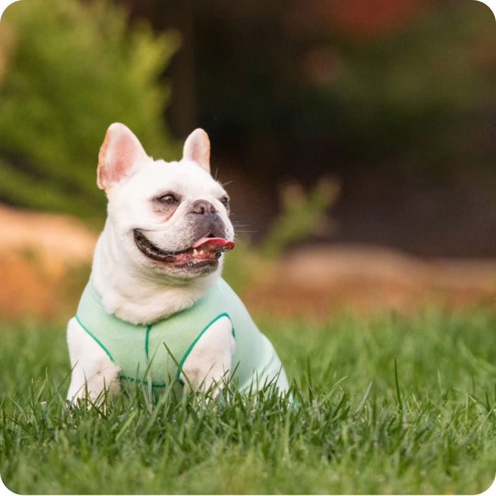 SALE - Sun Shield Tee