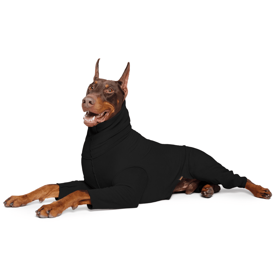 A Doberman lays wearing a black Signature Suit in front of a white background
