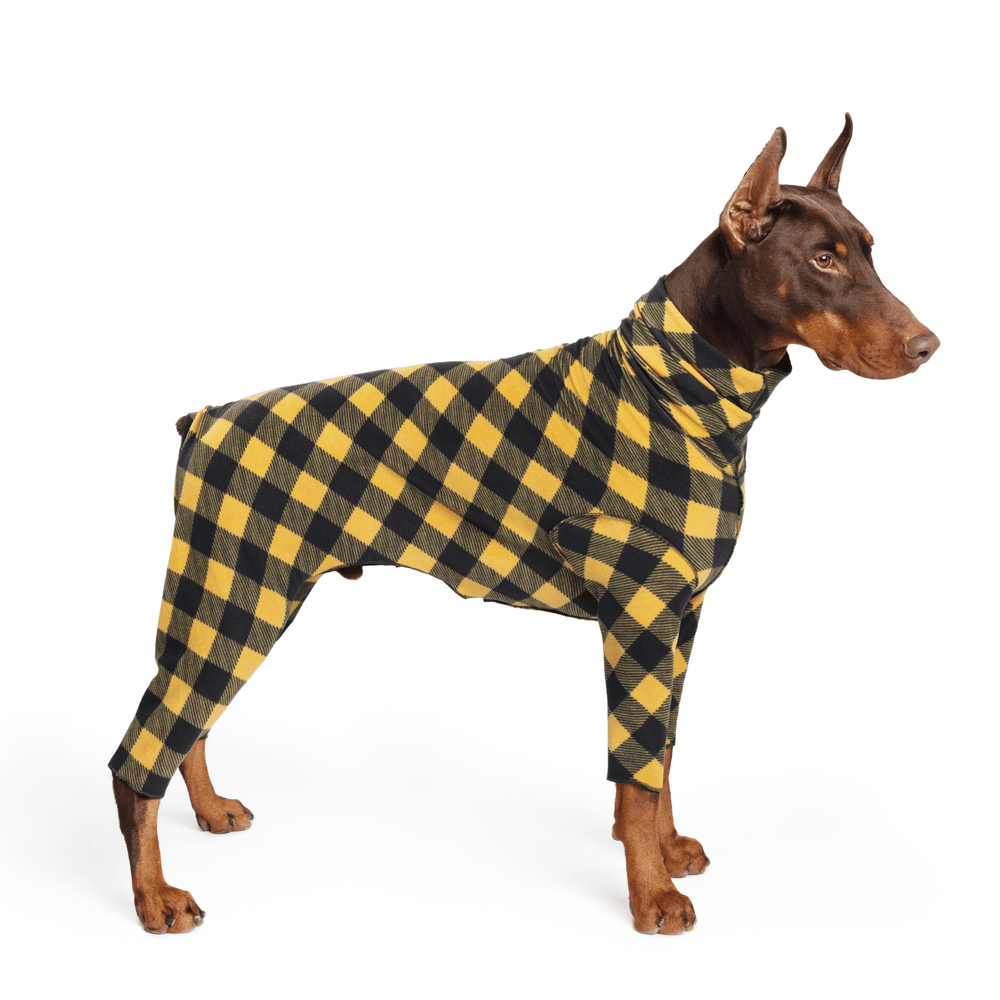 A Doberman stands wearing a gold and black buffalo check Signature Suit in front of a white background