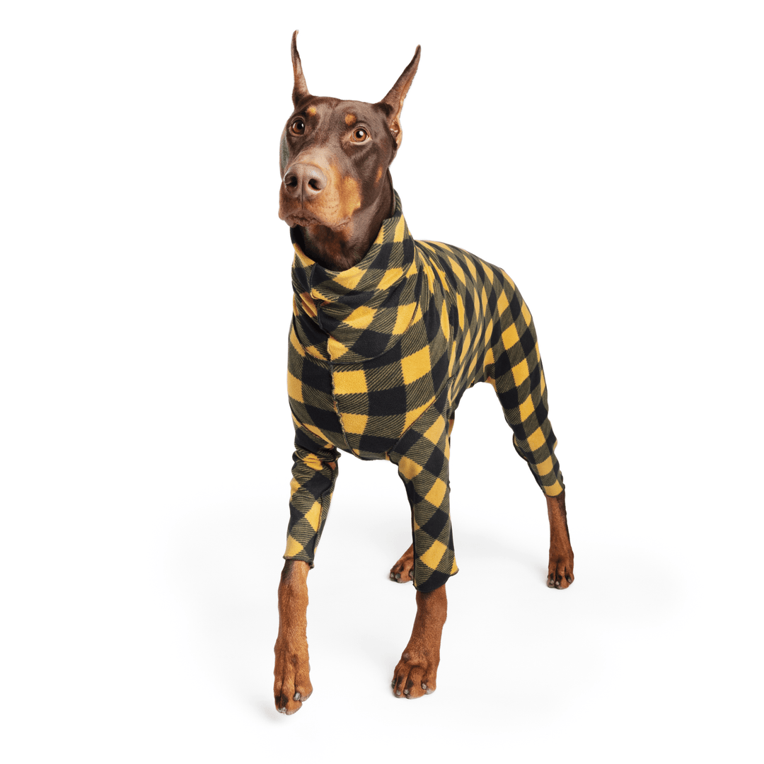 A Doberman walks wearing a gold and black buffalo check Signature Suit in front of a white background