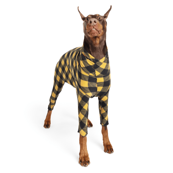 A Doberman stands wearing a gold and black buffalo check Signature Suit in front of a white background