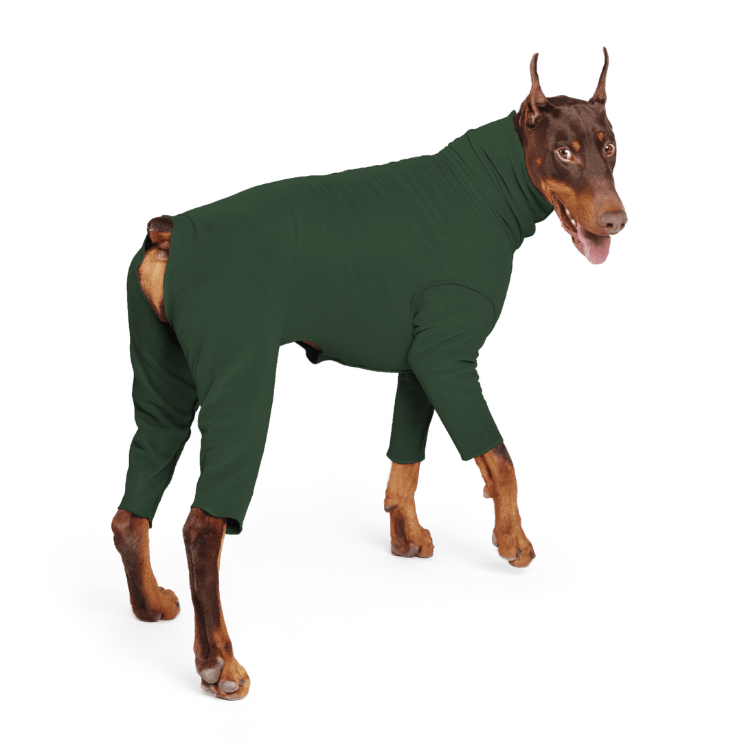 A Doberman stands wearing a hunter green Signature Suit in front of a white background