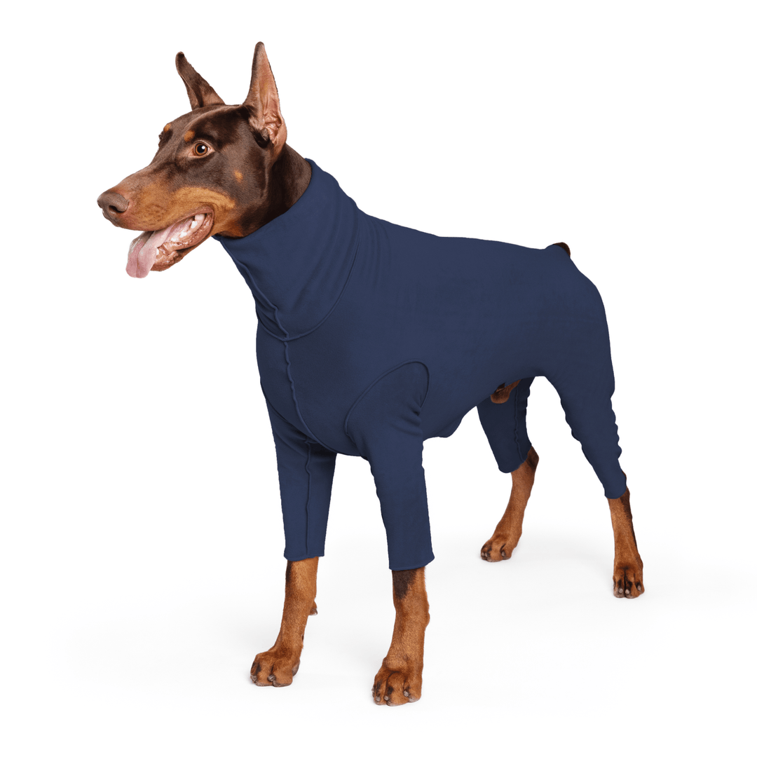 A Doberman stands wearing a navy Signature Suit in front of a white background