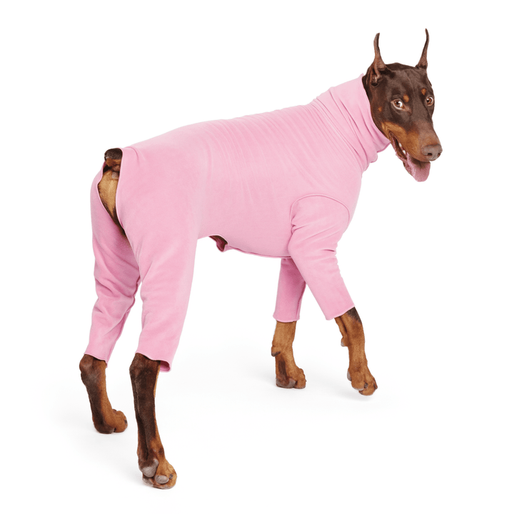 A Doberman turns wearing a rose pink Signature Suit in front of a white background