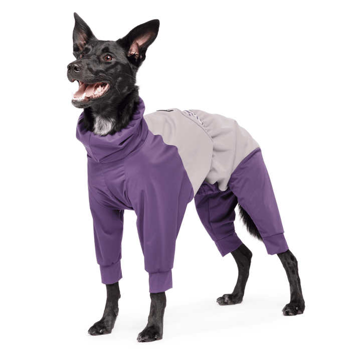 A Koolie standing in a Huckleberry purple and silver Ski Suit in front of a white background