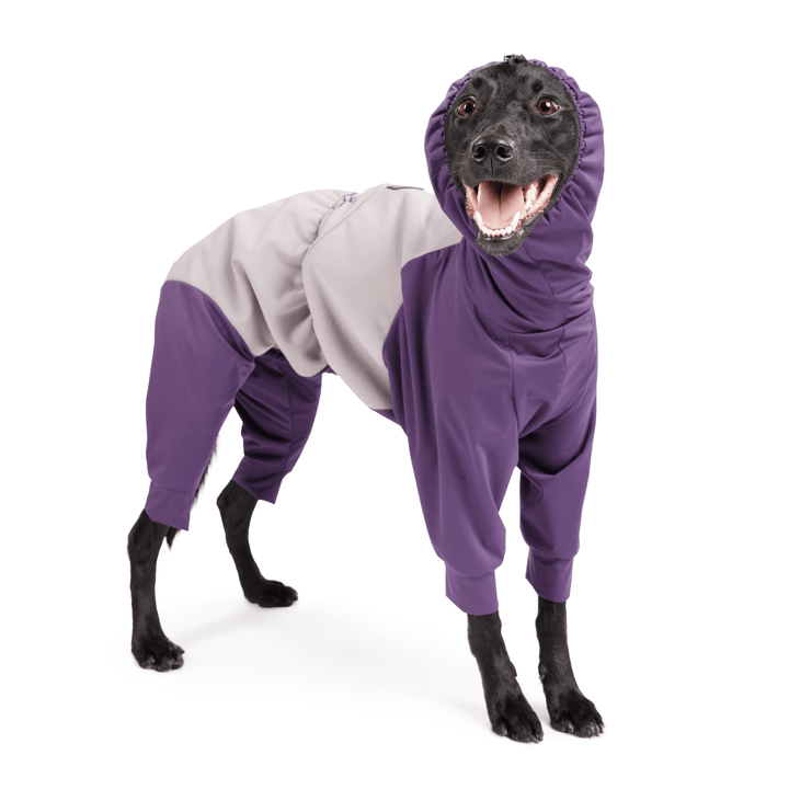 A Koolie standing in a Huckleberry Purple and Silver Ski suit in front of a white background