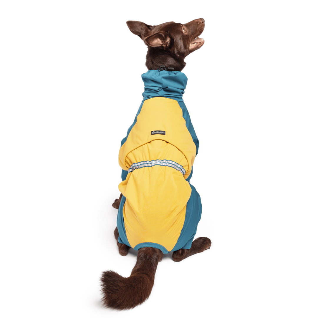 A Koolie sitting in a Lagoon blue and Gold Ski suit in front of a white background