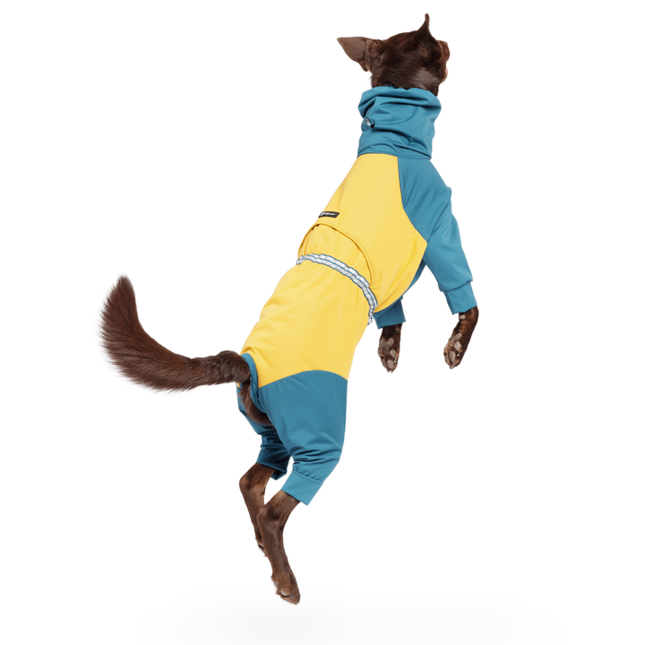 Ski Suit