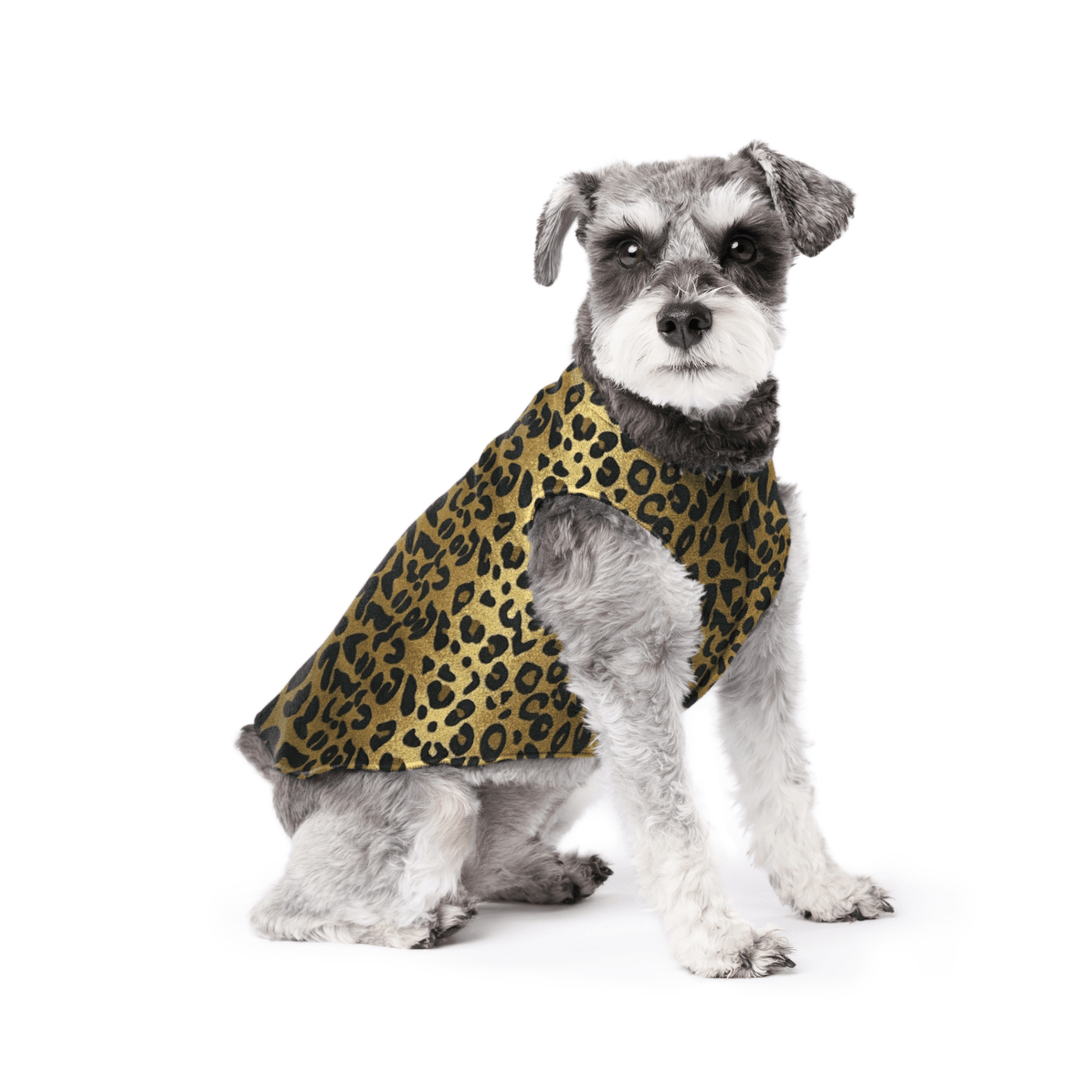 Mini Schnauzer sitting wearing a leopard print stretch fleece on a white background