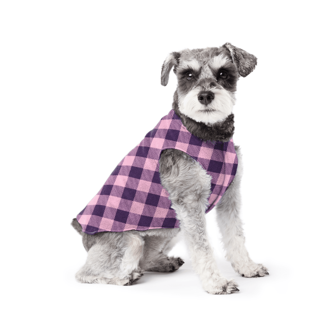 Mini Schnauzer sitting wearing a rose and huckleberry buffalo check stretch fleece on a white background