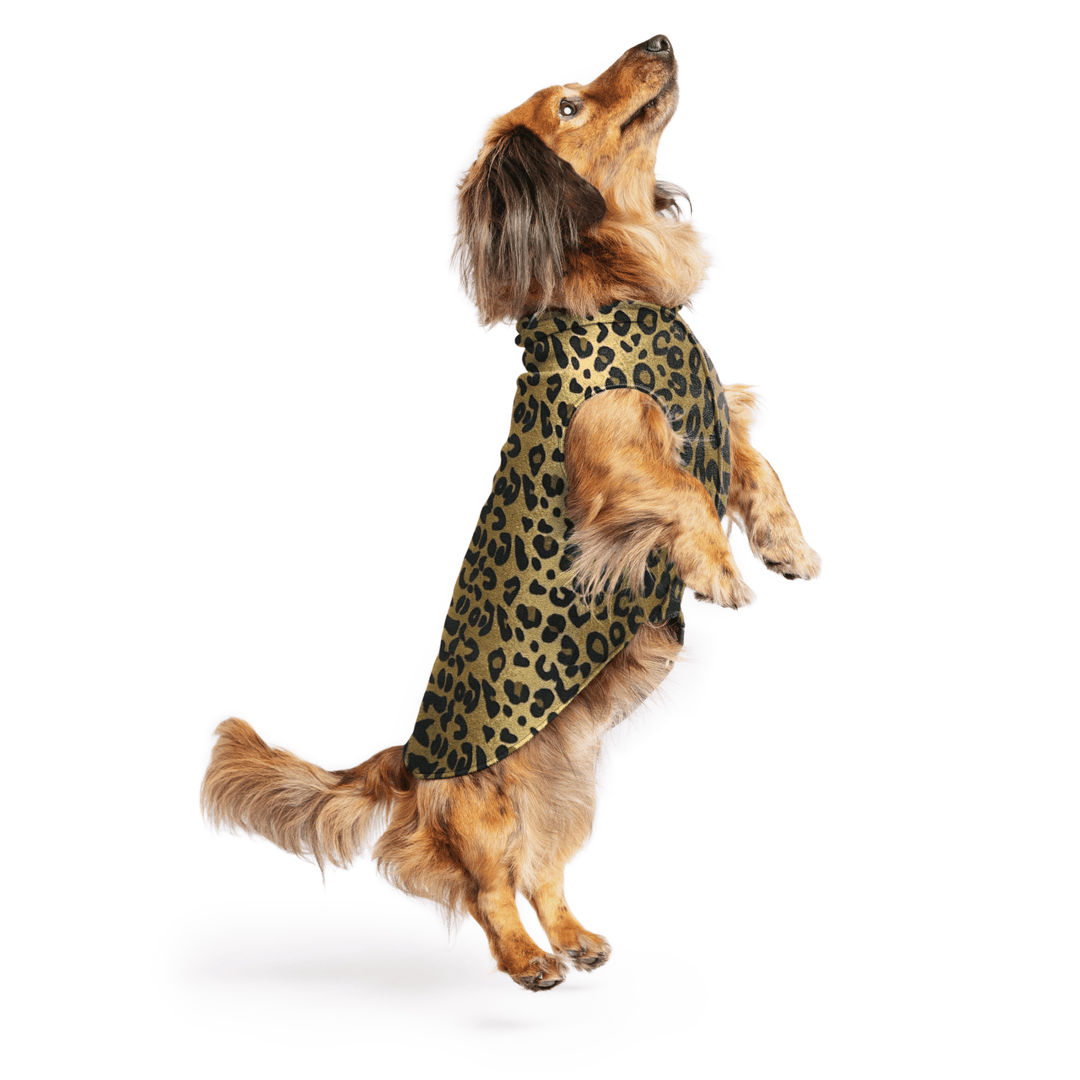 Mini Dachshund jumping wearing a leopard pattern stretch fleece on a white background