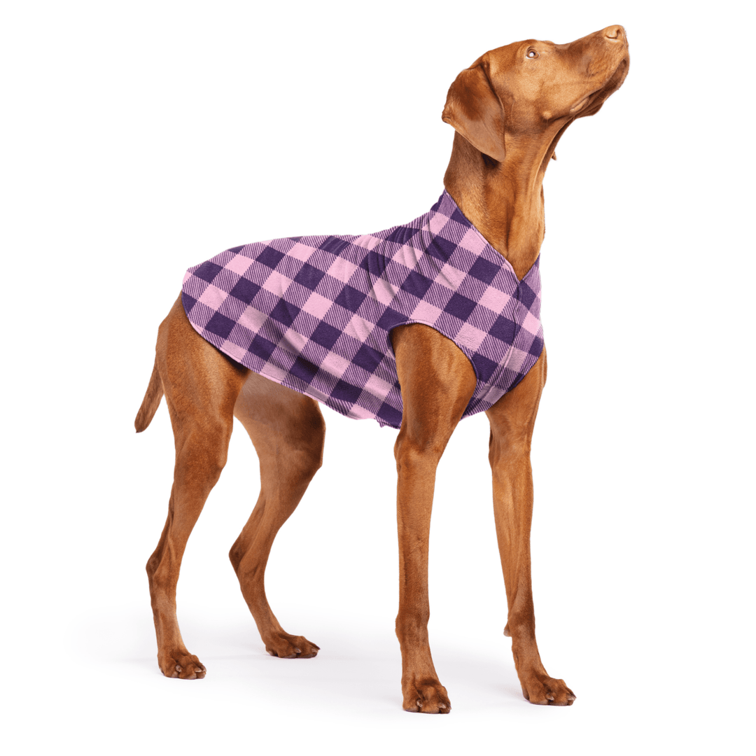 Vizsla is standing wearing a Rose pink and huckleberry purple Buffalo Check Stretch Fleece in front of a white background