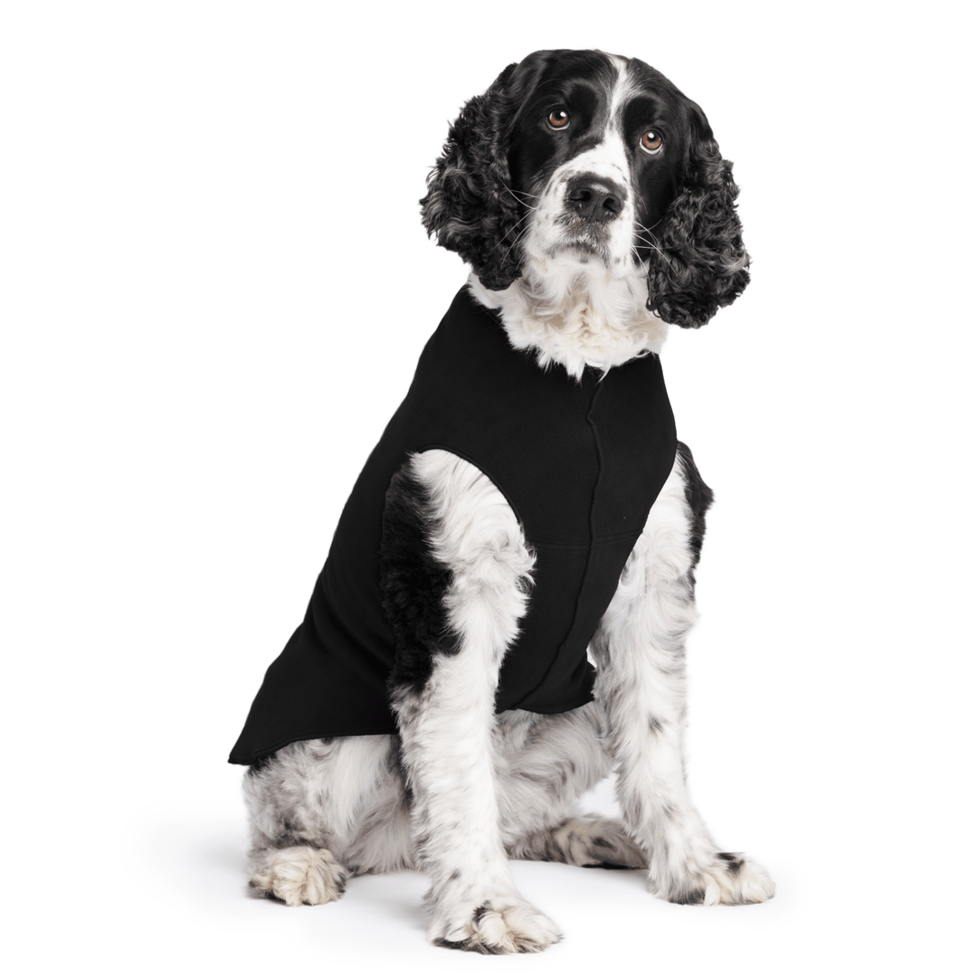 Springer Spaniel is sitting wearing a Black Stretch Fleece in front of a white background
