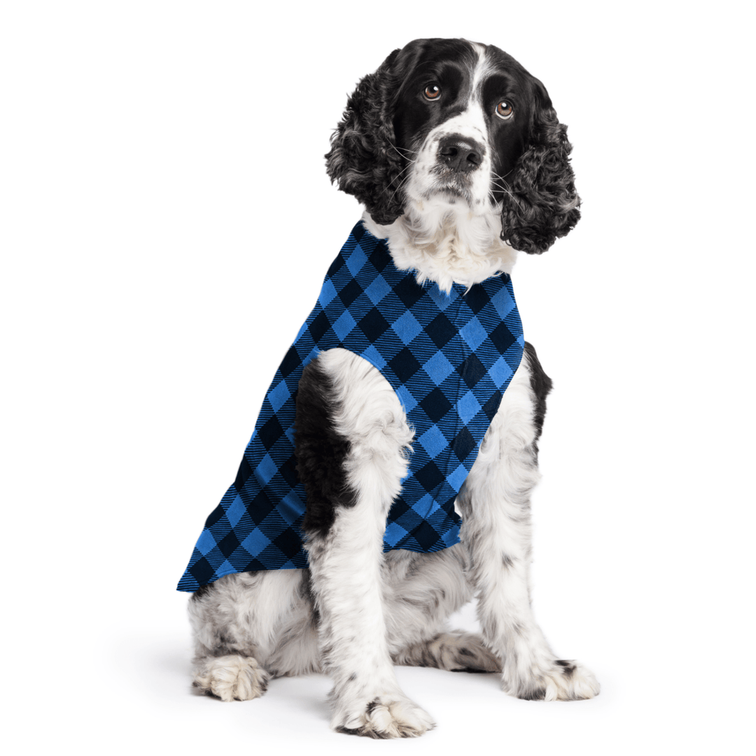 Springer Spaniel is sitting wearing a Cobalt and black Buffalo Check Stretch Fleece in front of a white background