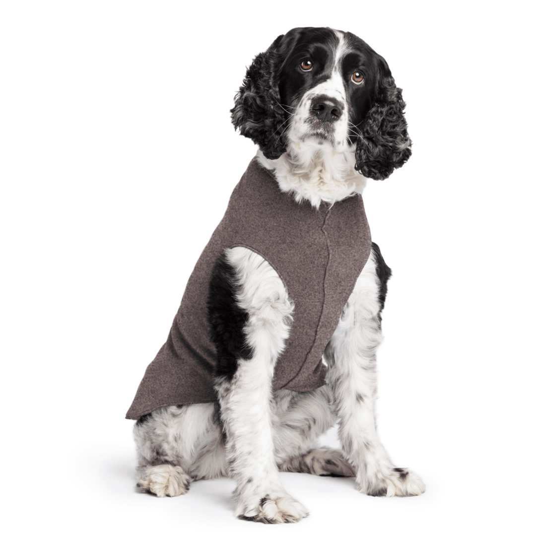 Springer Spaniel is sitting wearing a Charcoal Stretch Fleece in front of a white background
