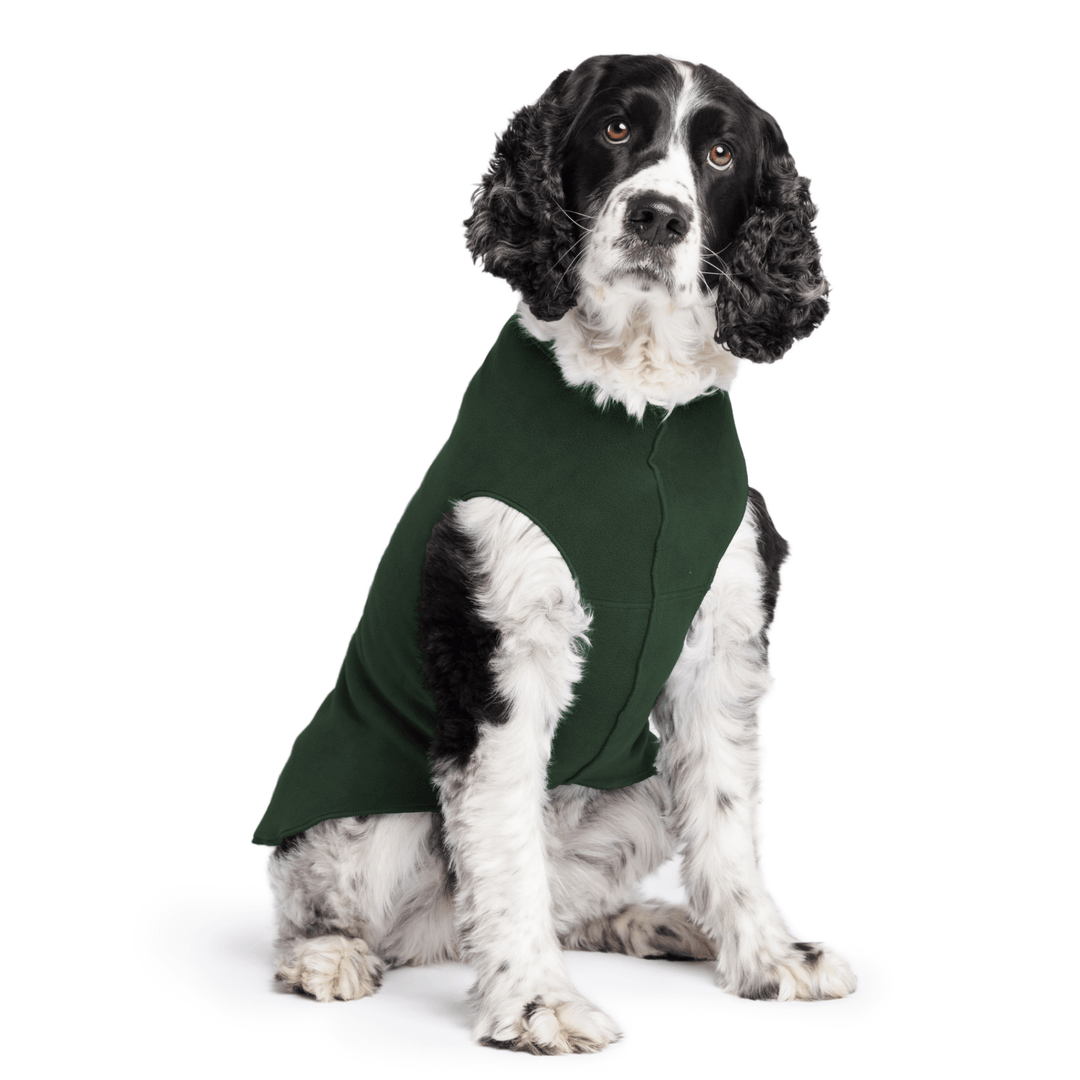 Springer Spaniel is sitting wearing a Hunter Green Stretch Fleece in front of a white background
