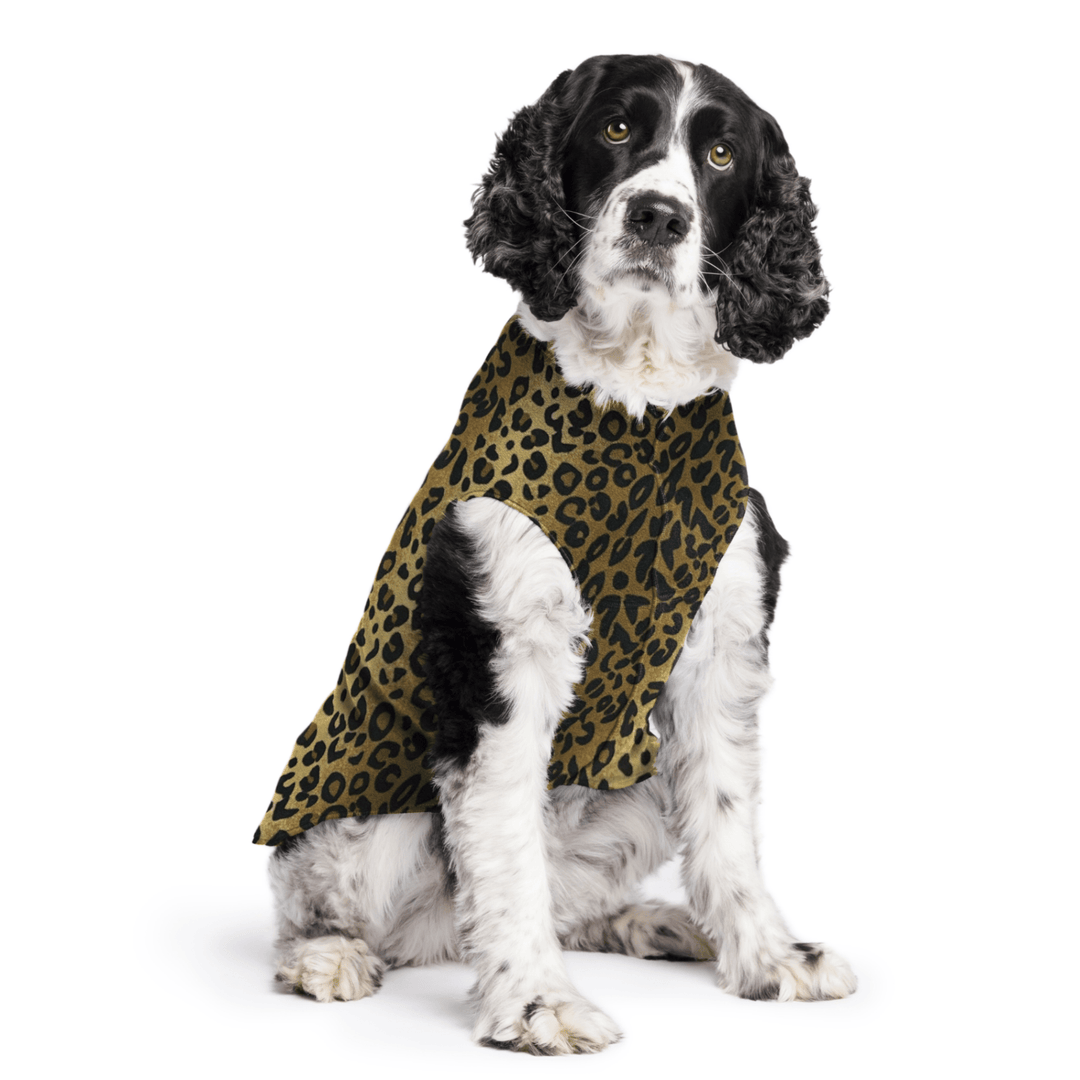 Springer Spaniel is sitting wearing a Leopard print Stretch Fleece in front of a white background