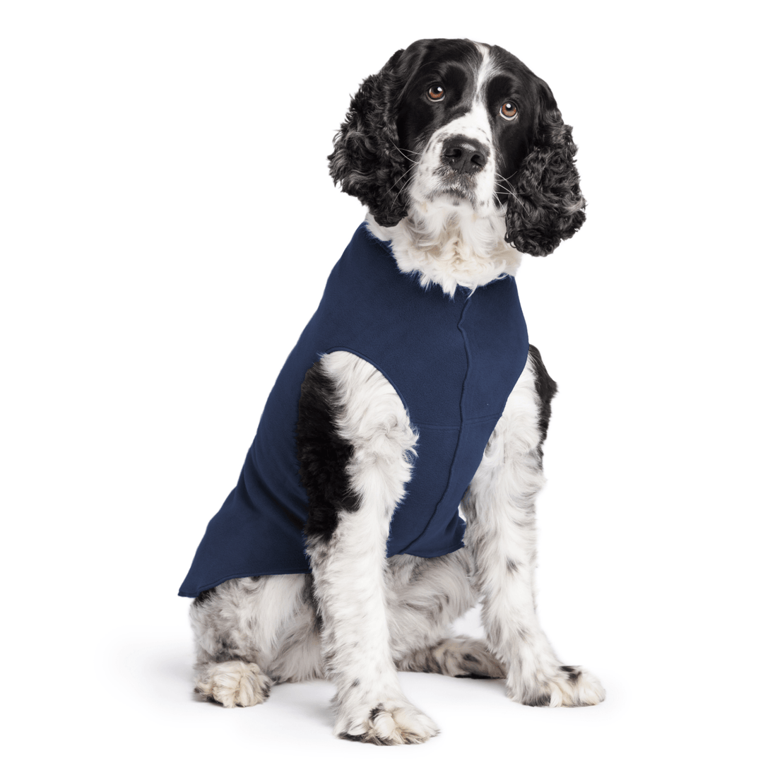 Springer Spaniel is sitting wearing a Navy Stretch Fleece in front of a white background