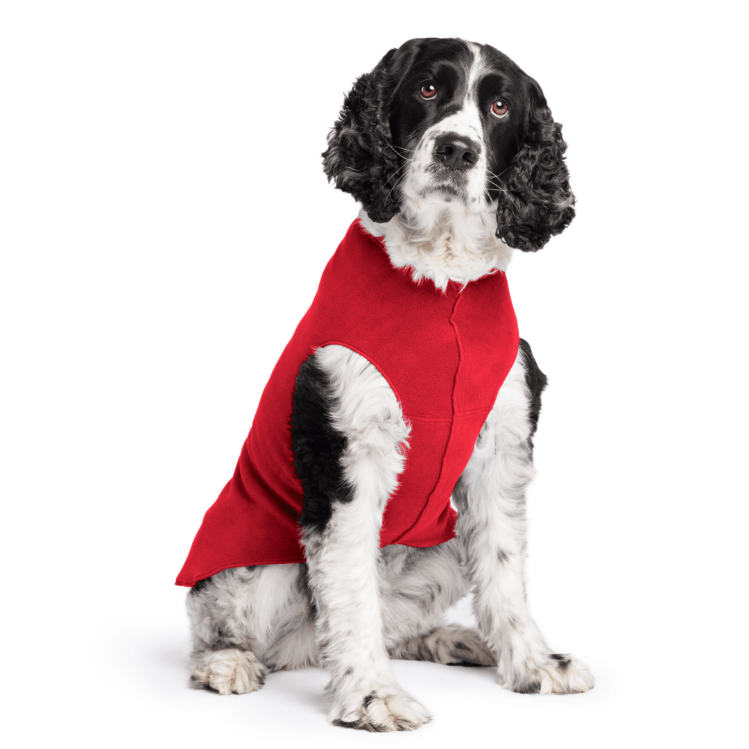 Springer Spaniel is sitting wearing a Red Stretch Fleece in front of a white background