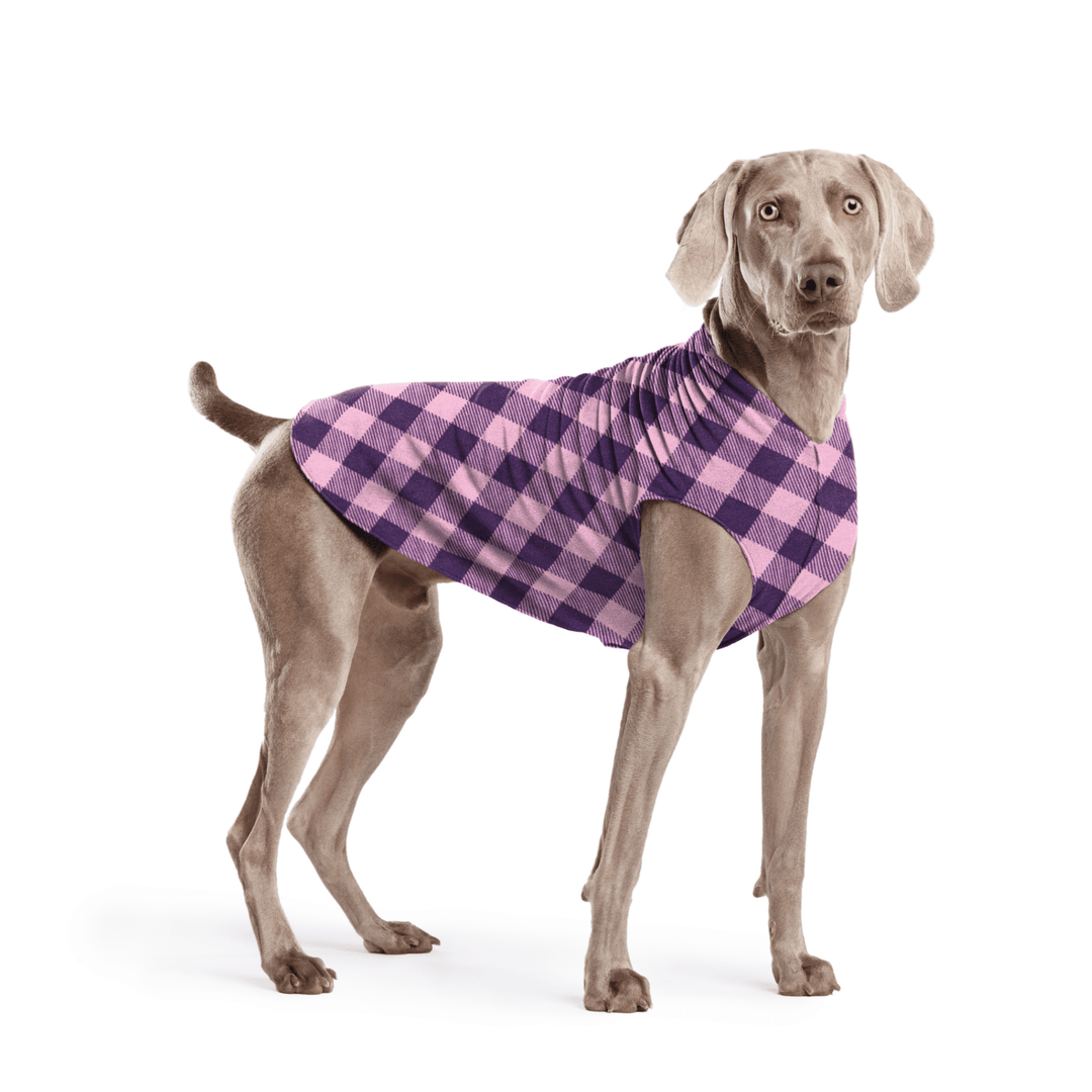 Weimaraner is standing wearing a Rose Buffalo Check Stretch Fleece in front of a white background