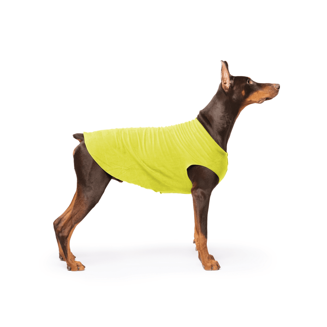 Doberman is standing wearing an Avocado green Stretch Fleece in front of a white background
