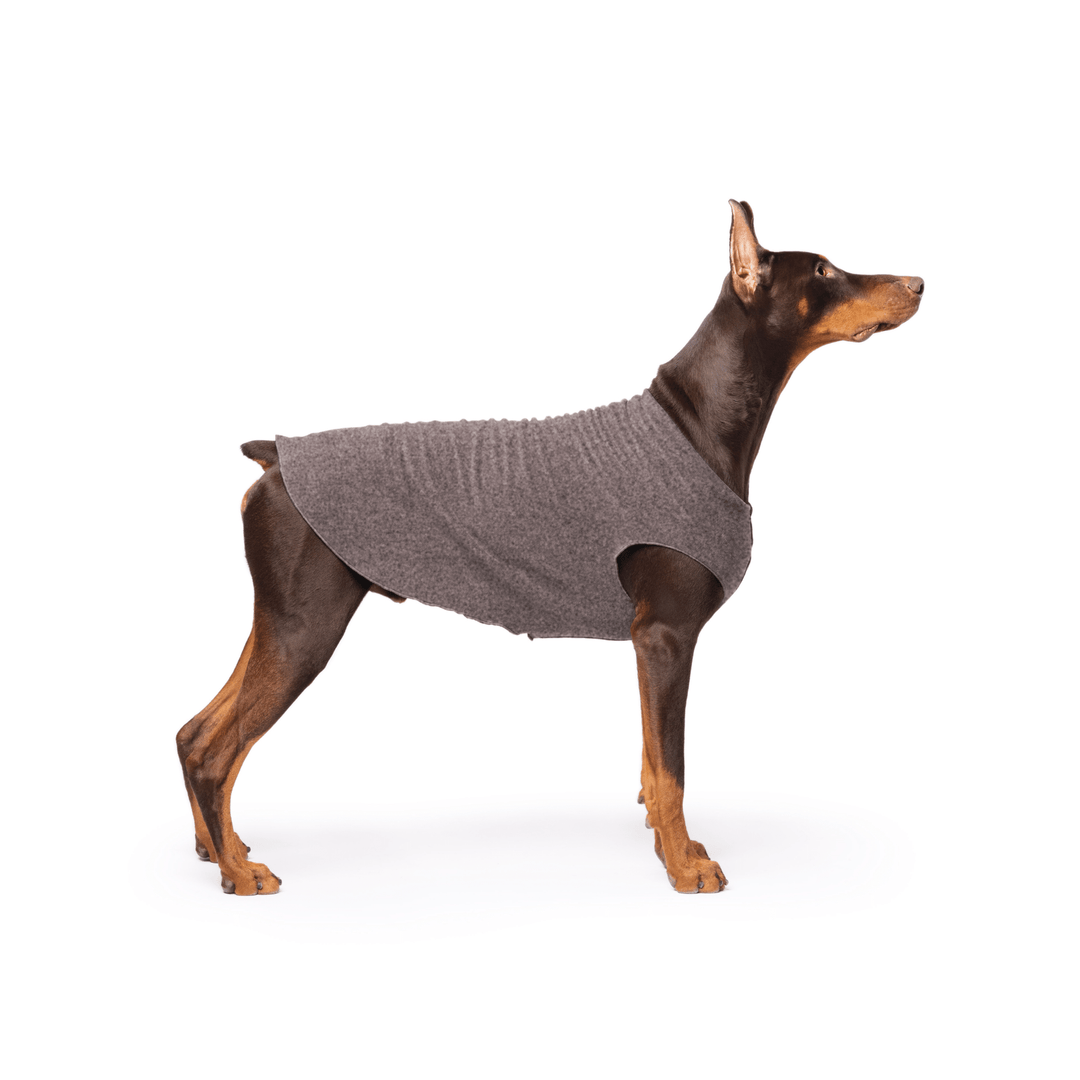 Doberman is standing wearing a Charcoal Stretch Fleece in front of a white background
