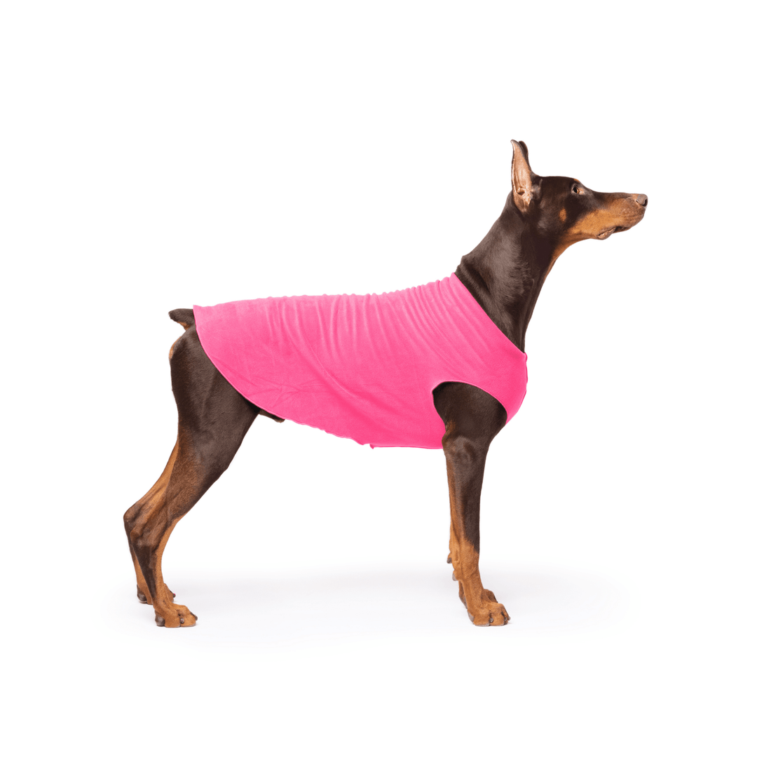 Doberman is standing wearing a Hot Pink Stretch Fleece in front of a white background