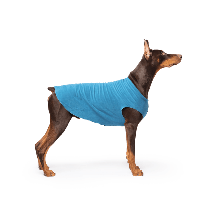 Doberman is standing wearing a Marine blue Stretch Fleece in front of a white background