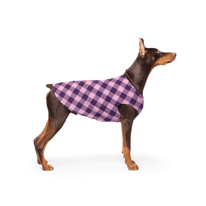 Doberman is standing wearing a Rose pink and huckleberry purple Buffalo Check Stretch Fleece in front of a white background