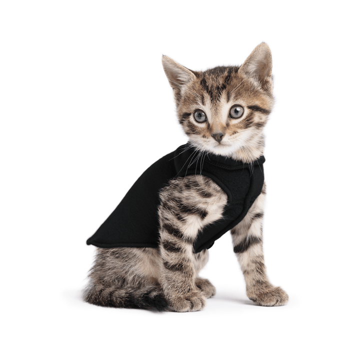 A kitten sitting wearing a black stretch fleece on a white background