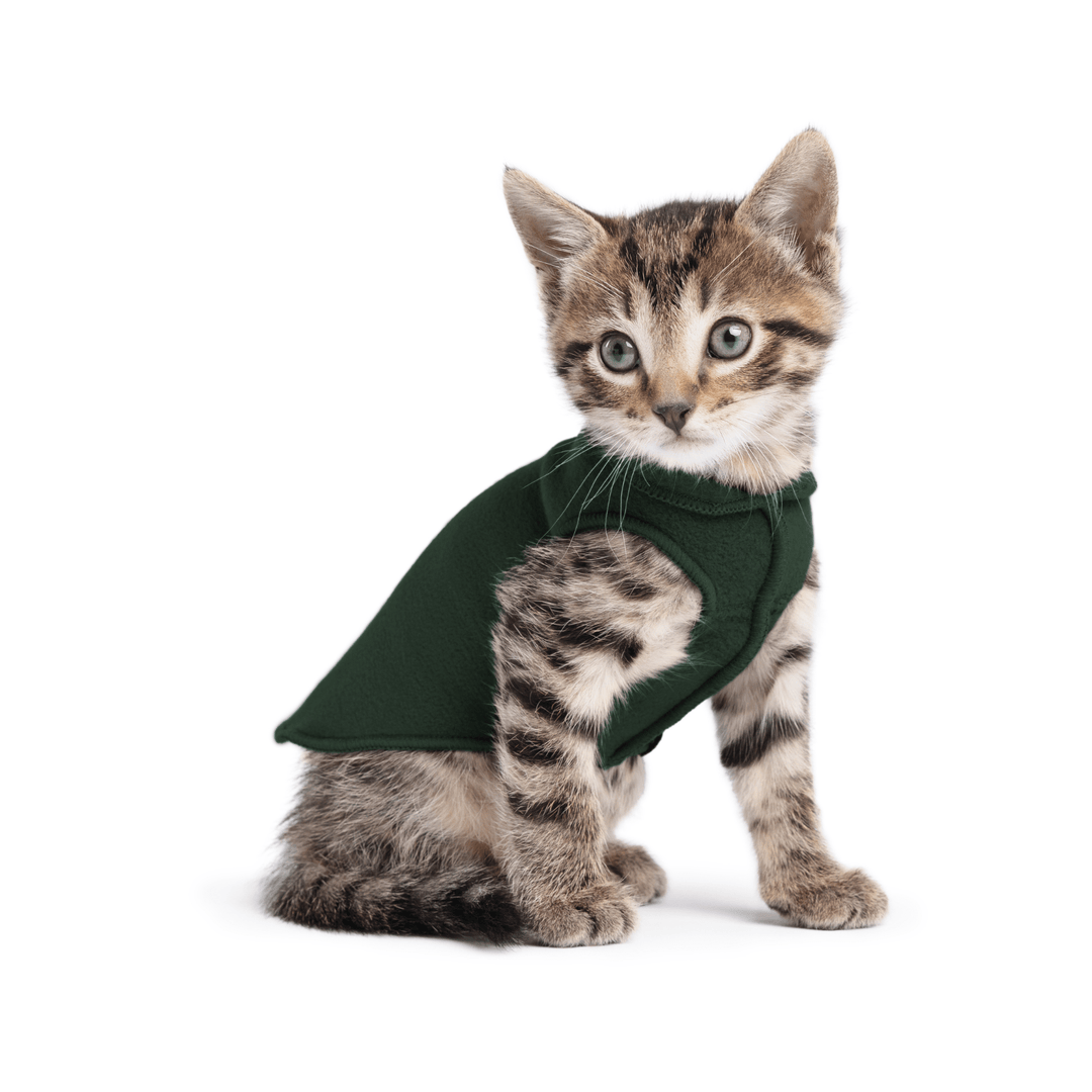 A kitten sitting wearing a hunter green stretch fleece on a white background