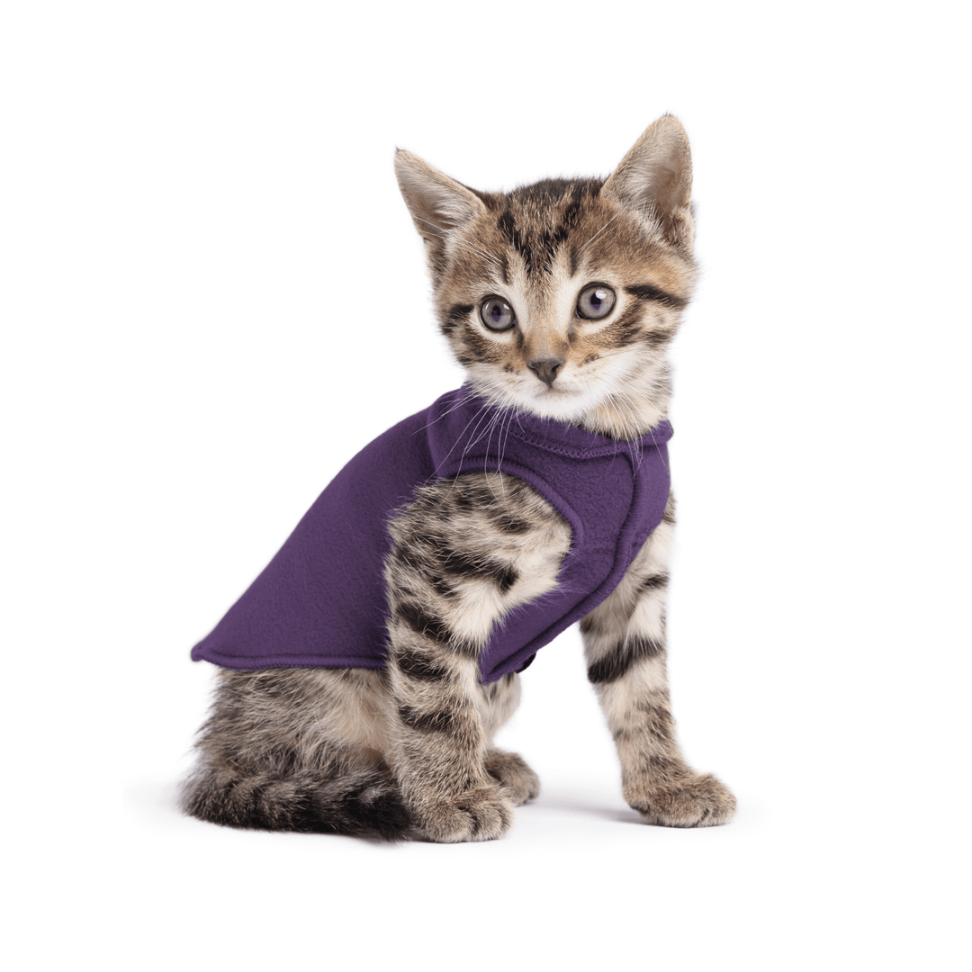A kitten sitting wearing a huckleberry purple stretch fleece on a white background