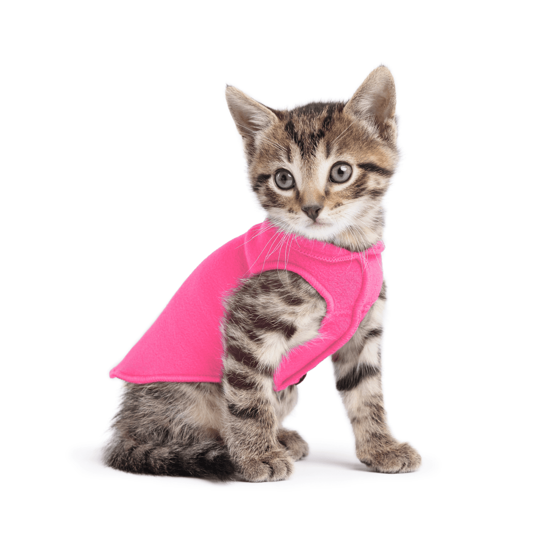 A kitten sitting wearing a hot pink stretch fleece on a white background