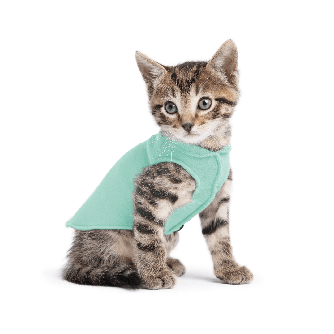 Stretch Fleece