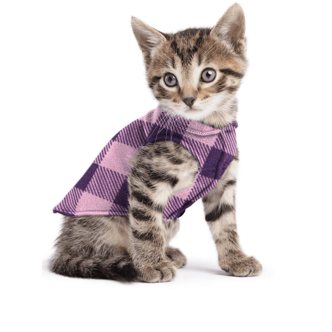 A kitten sitting wearing a rose and huckleberry buffalo check stretch fleece on a white background