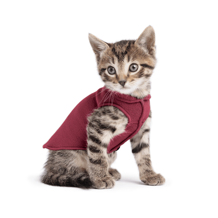 Stretch Fleece