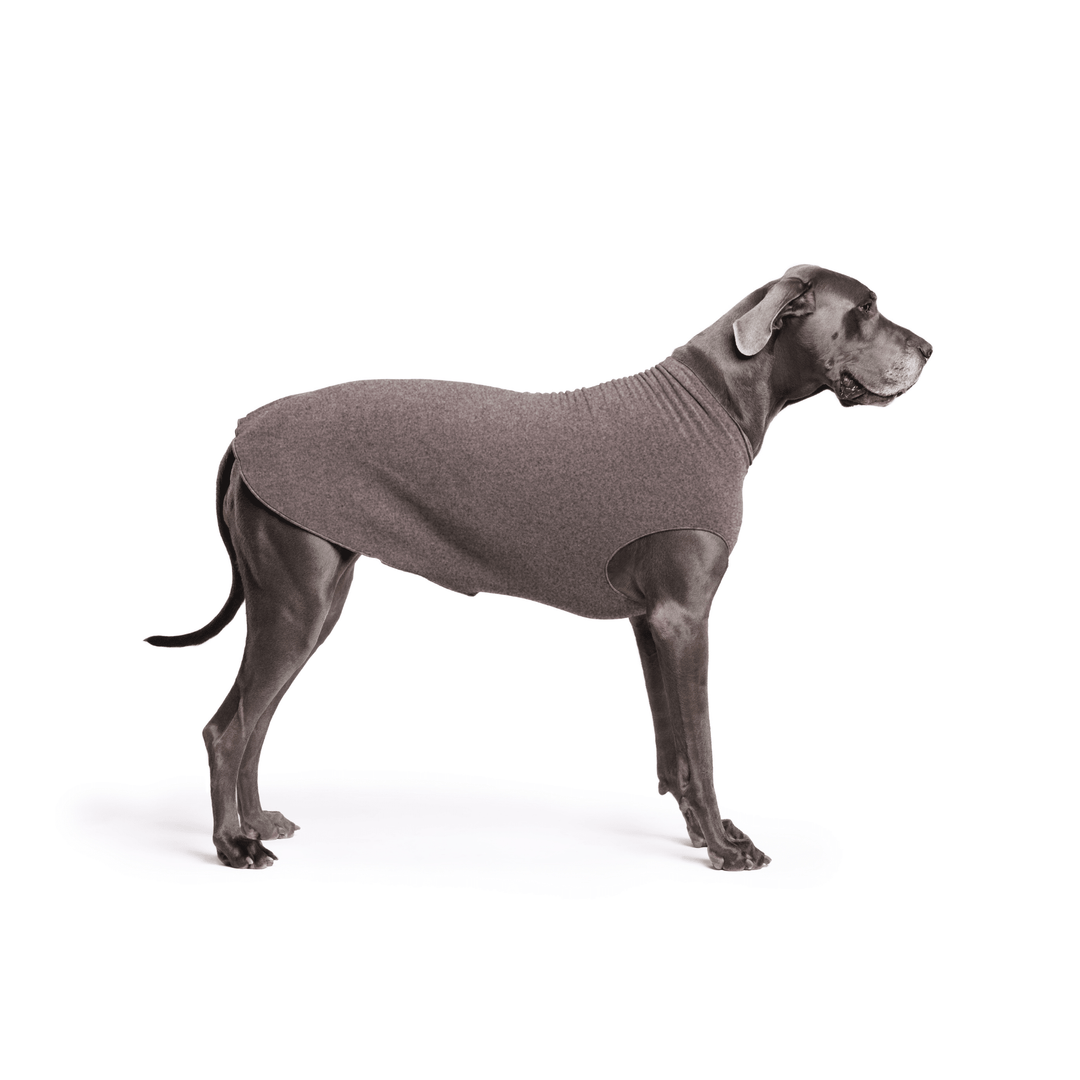 A Great Dane is standing wearing a Charcoal grey Stretch Fleece in front of a white background