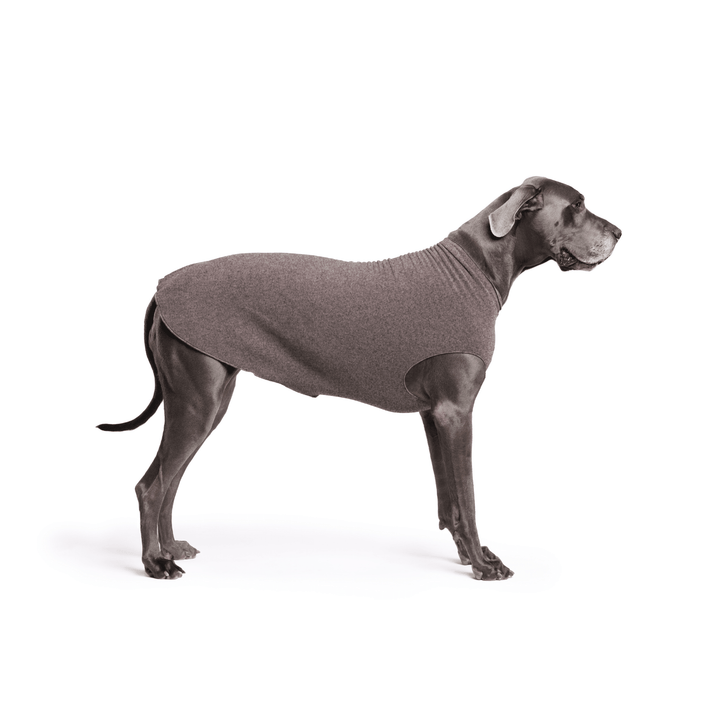A Great Dane is standing wearing a Charcoal grey Stretch Fleece in front of a white background