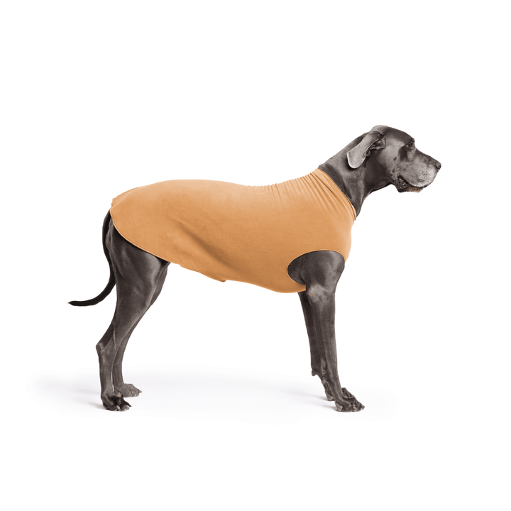 A Great Dane is standing wearing a Chipmunk brown Stretch Fleece in front of a white background