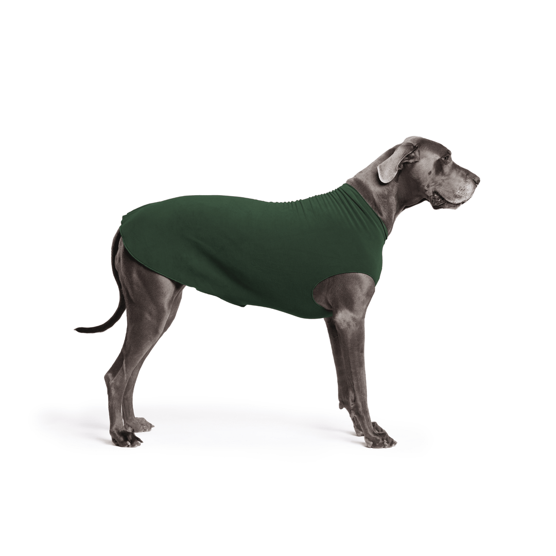 A Great Dane is standing wearing a Hunter Green Stretch Fleece in front of a white background