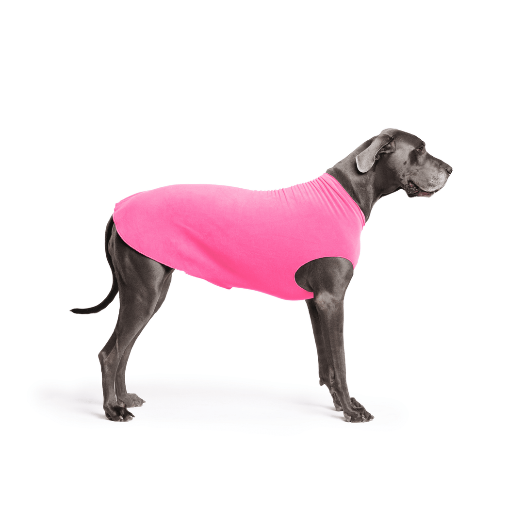 A Great Dane is standing wearing a Hot Pink Stretch Fleece in front of a white background