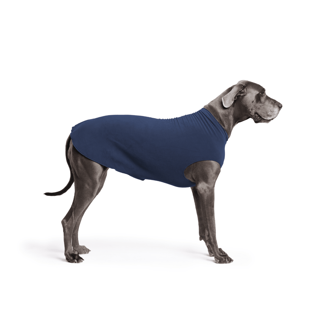 A Great Dane is standing wearing a Navy blue Stretch Fleece in front of a white background