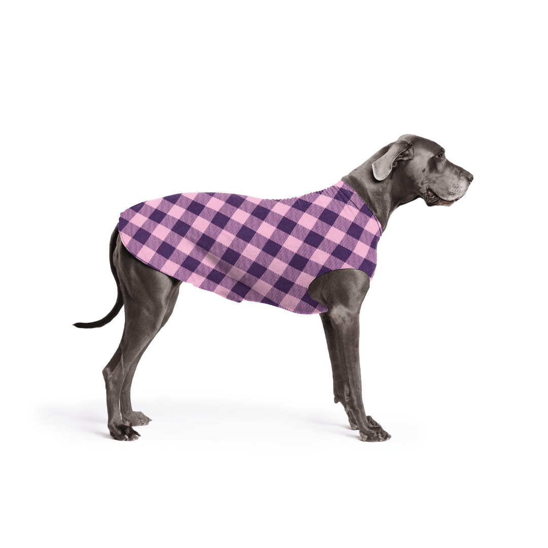A Great Dane is standing wearing a Rose pink and Huckleberry purple Buffalo Check Stretch Fleece in front of a white background